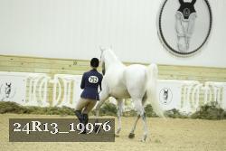 24R13_19976 proof