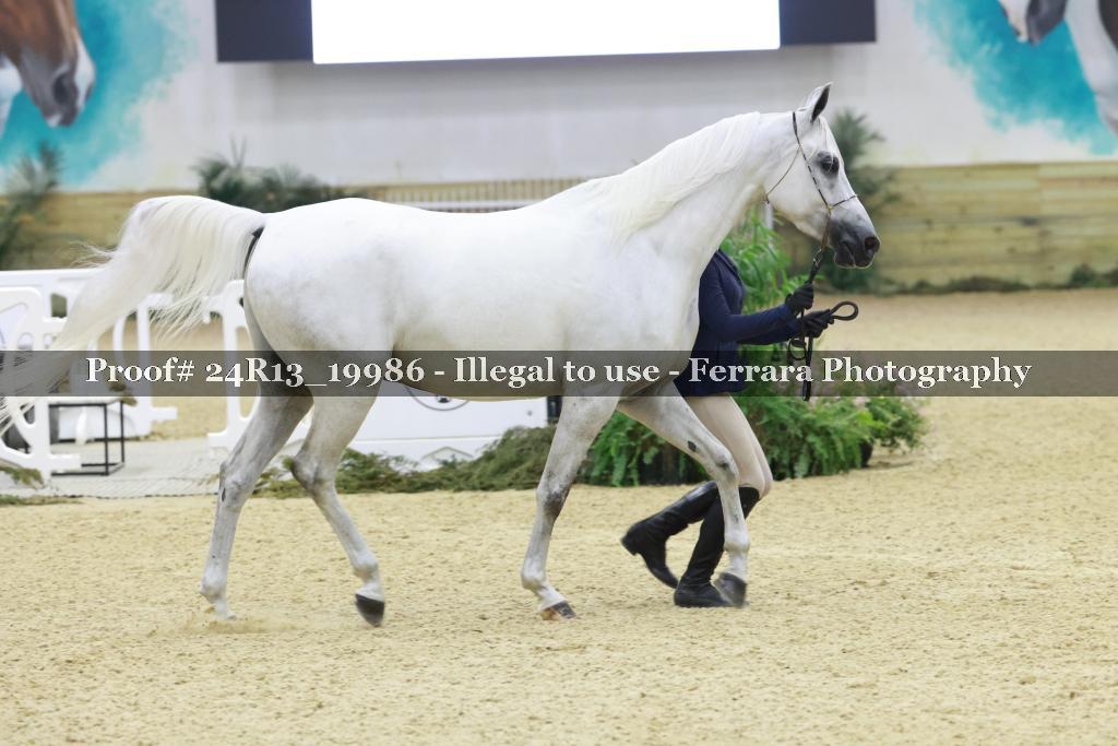 Proof 24R13_19986