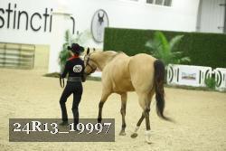 24R13_19997 proof