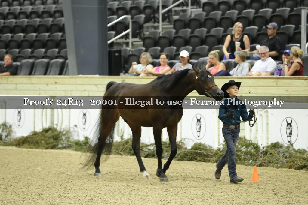Proof 24R13_20001