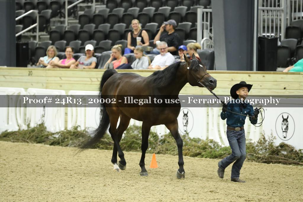 Proof 24R13_20002