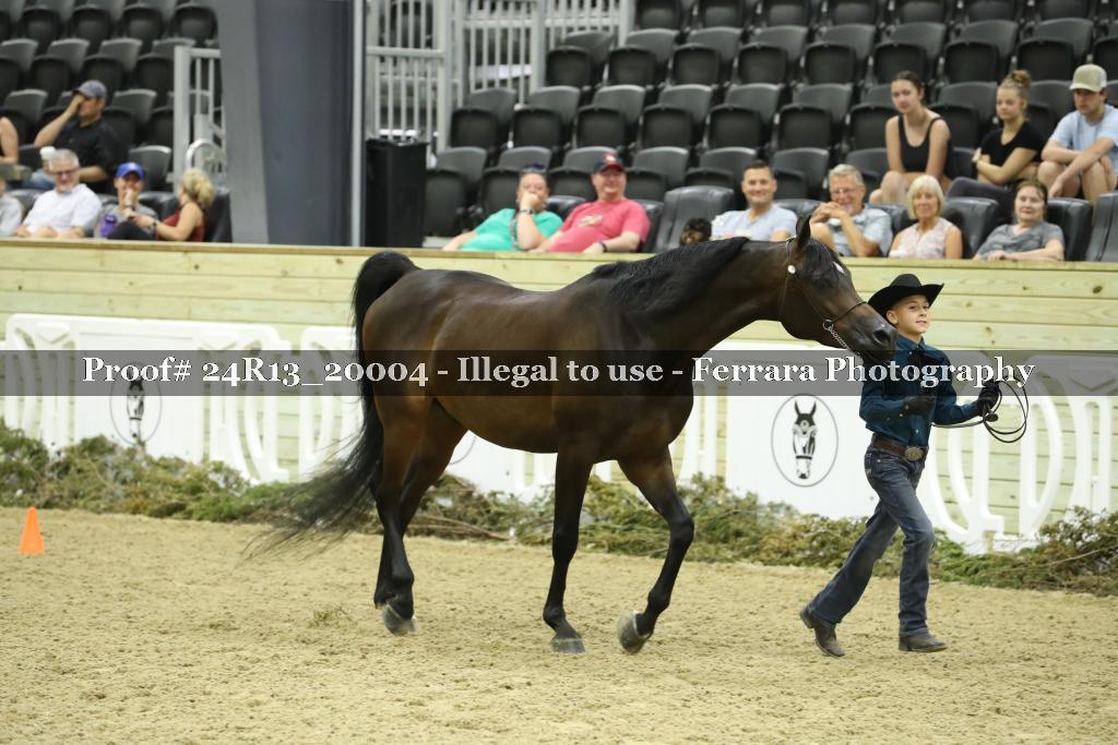 Proof 24R13_20004