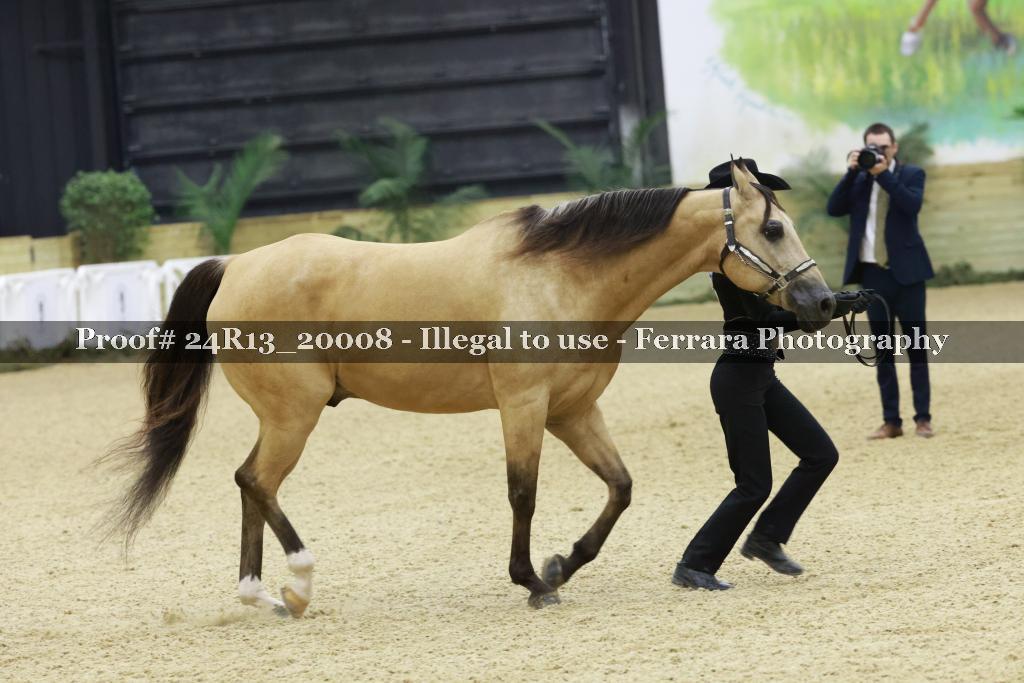 Proof 24R13_20008