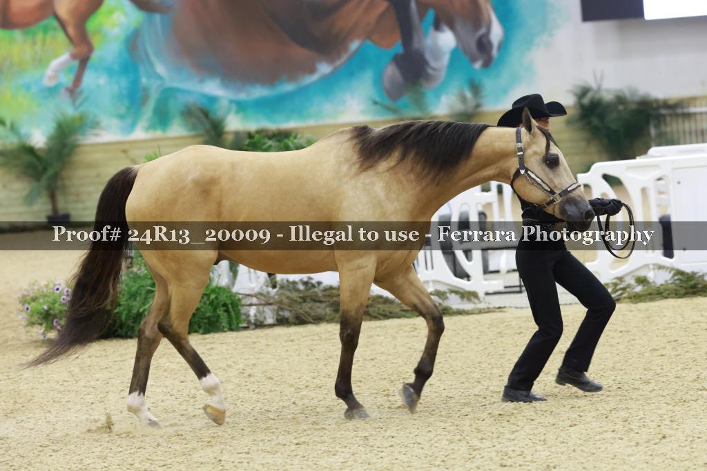 Proof 24R13_20009