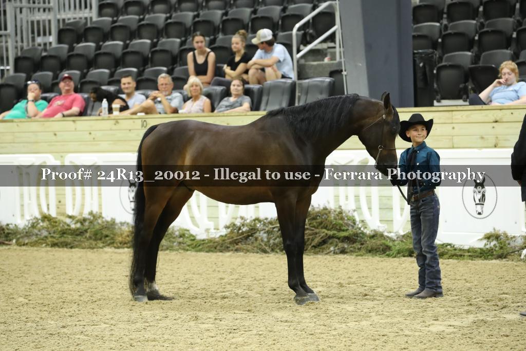 Proof 24R13_20012