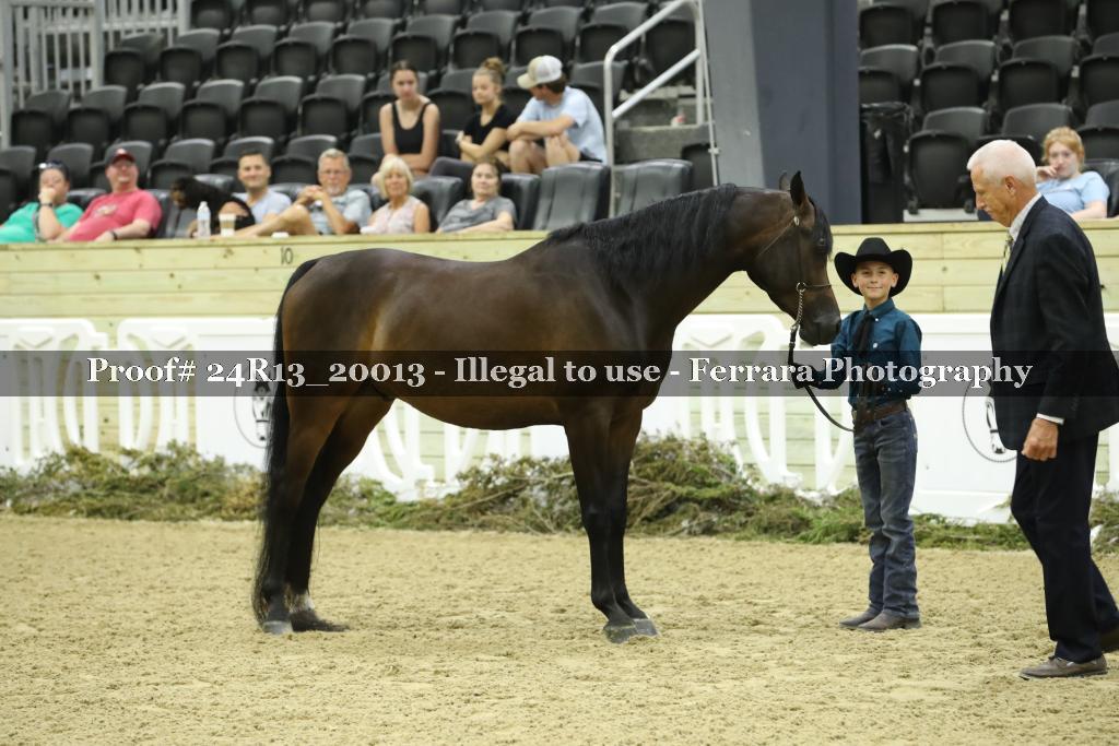 Proof 24R13_20013