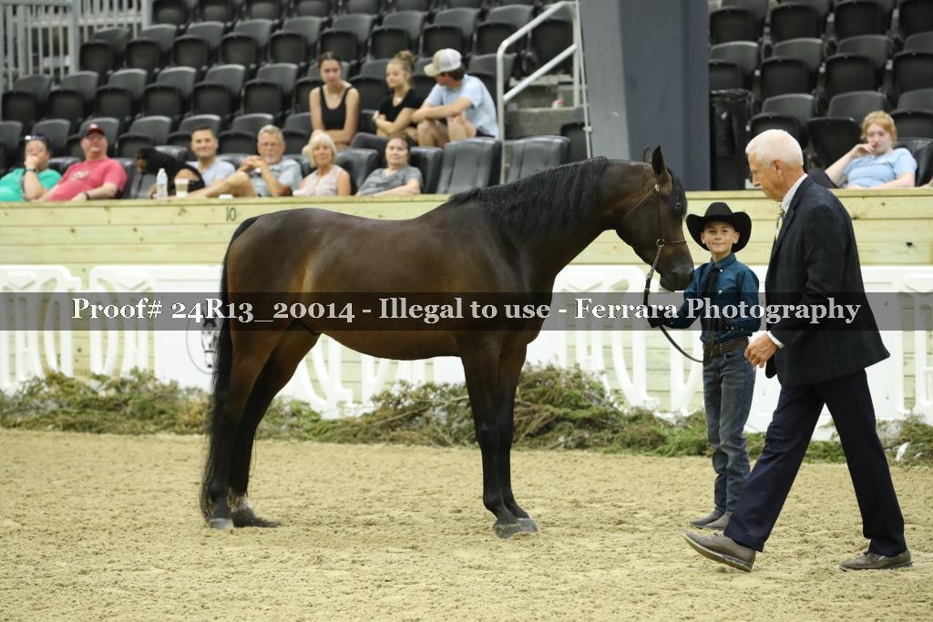 Proof 24R13_20014