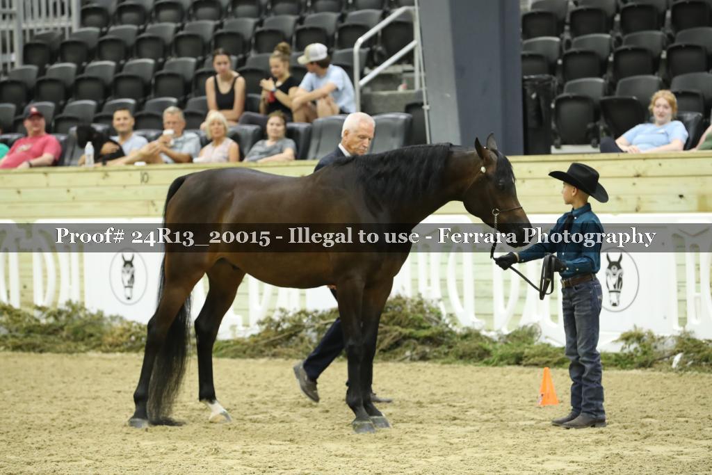 Proof 24R13_20015
