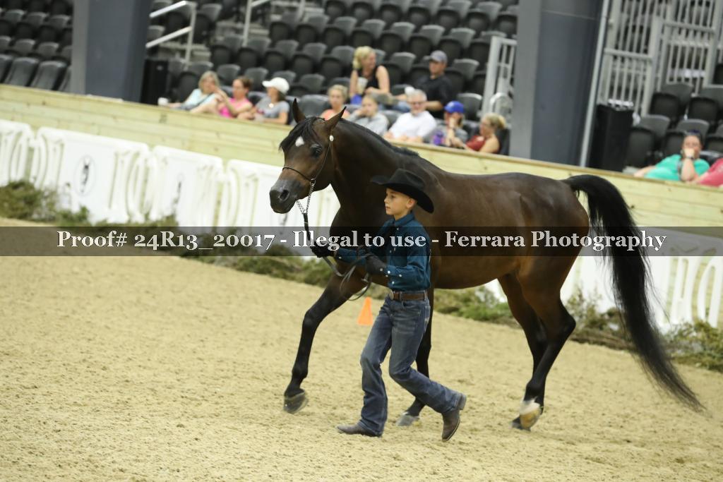 Proof 24R13_20017