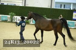 24R13_20022 proof