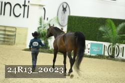 24R13_20023 proof