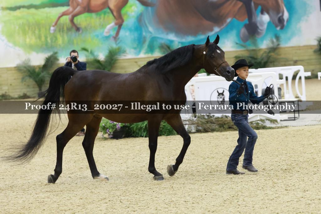 Proof 24R13_20027