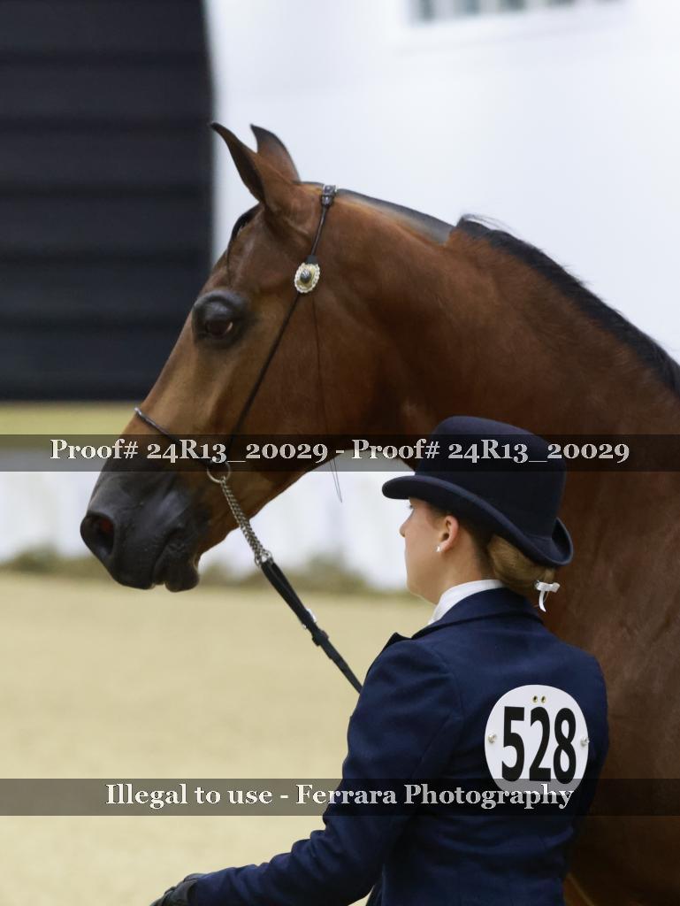 Proof 24R13_20029