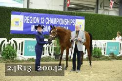24R13_20042 proof