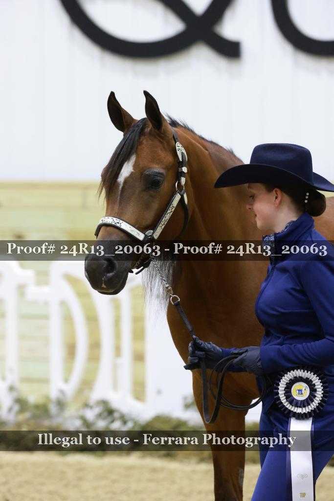 Proof 24R13_20063