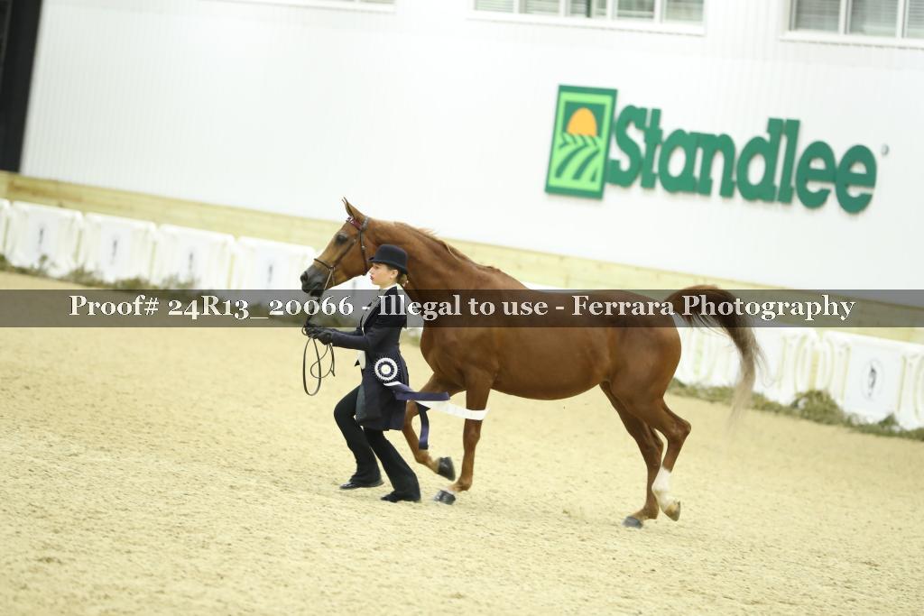 Proof 24R13_20066
