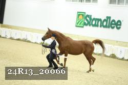 24R13_20066 proof