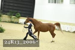 24R13_20067 proof