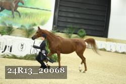 24R13_20068 proof