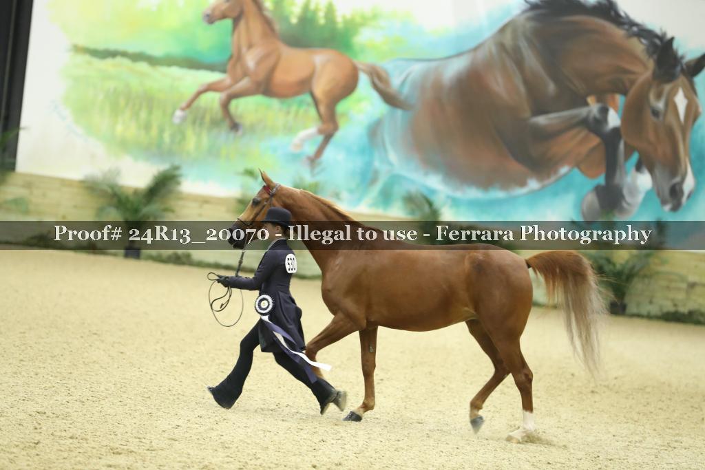 Proof 24R13_20070