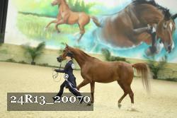 24R13_20070 proof