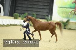 24R13_20071 proof