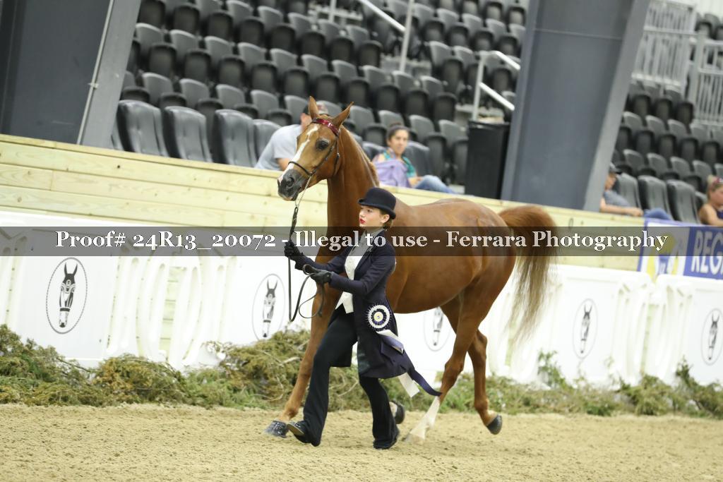 Proof 24R13_20072