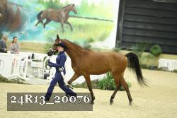 24R13_20076 proof