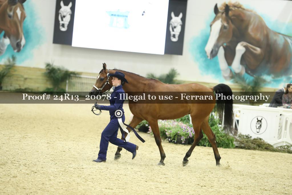 Proof 24R13_20078