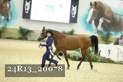 24R13_20078 proof