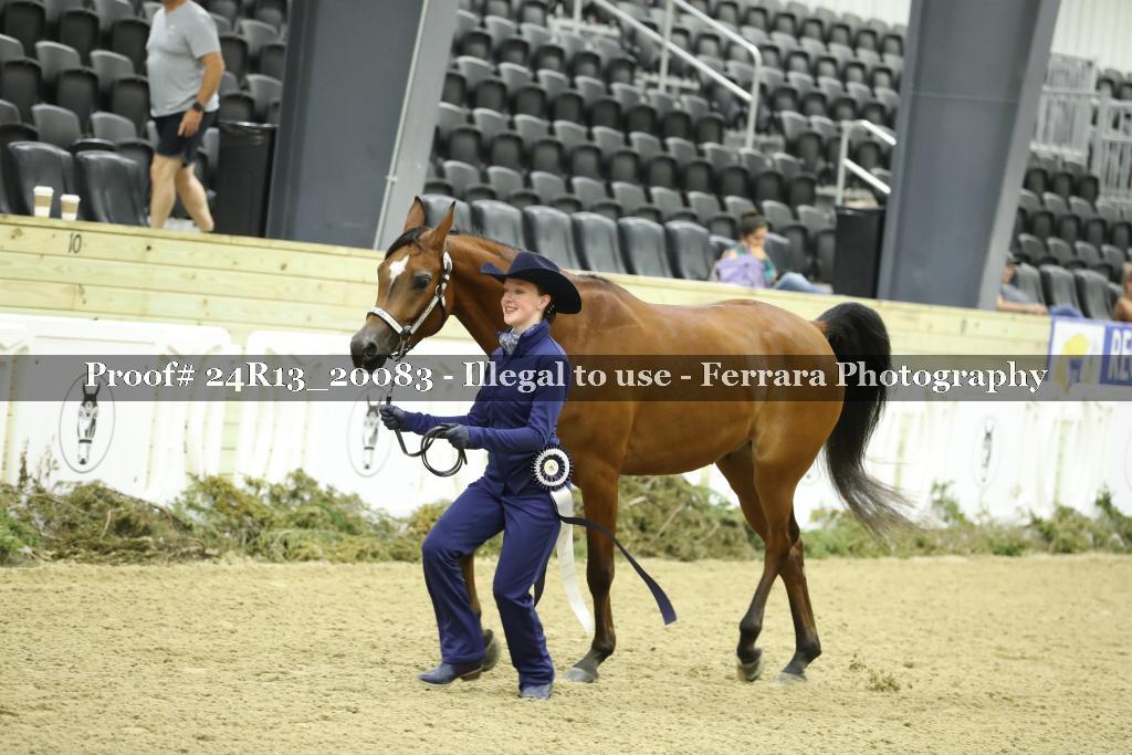 Proof 24R13_20083