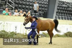 24R13_20084 proof