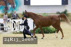 24R13_20087 proof