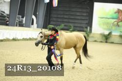 24R13_20108 proof