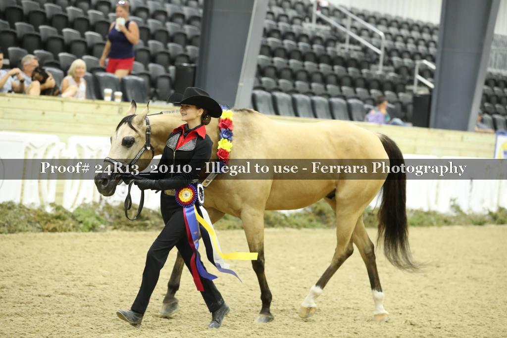 Proof 24R13_20110