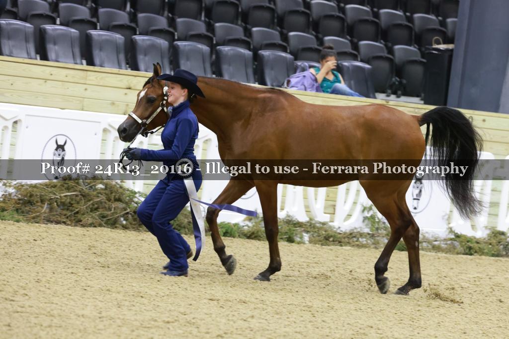 Proof 24R13_20116