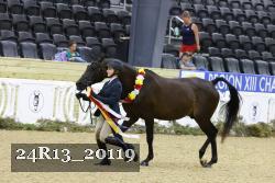 24R13_20119 proof