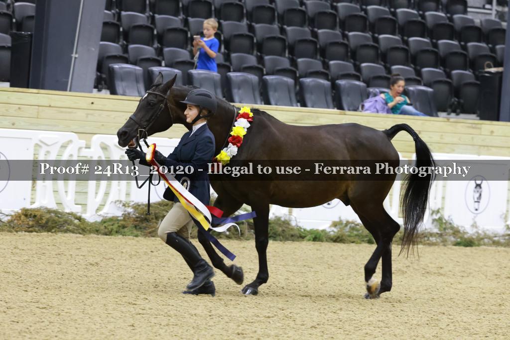 Proof 24R13_20120