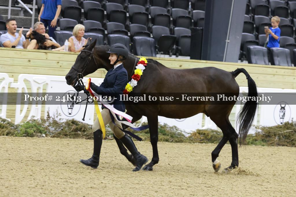 Proof 24R13_20121