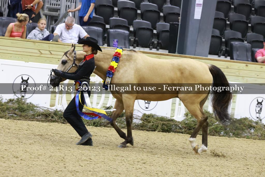 Proof 24R13_20123