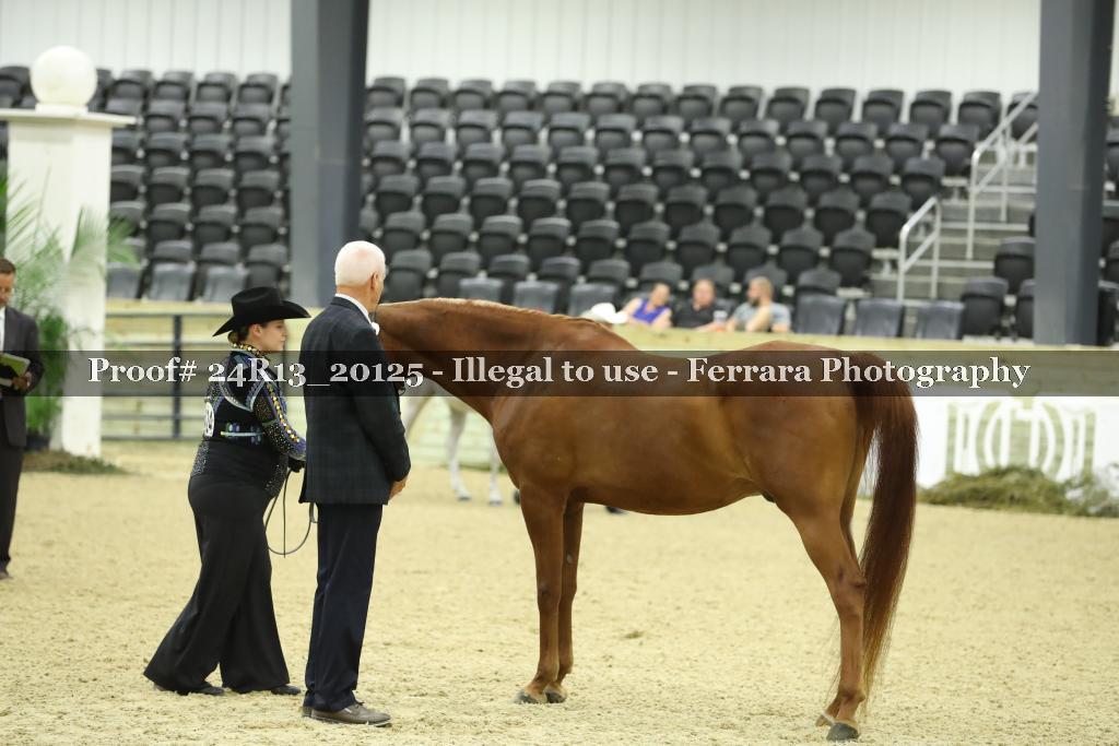 Proof 24R13_20125