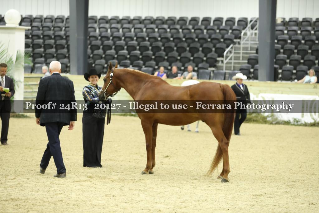 Proof 24R13_20127