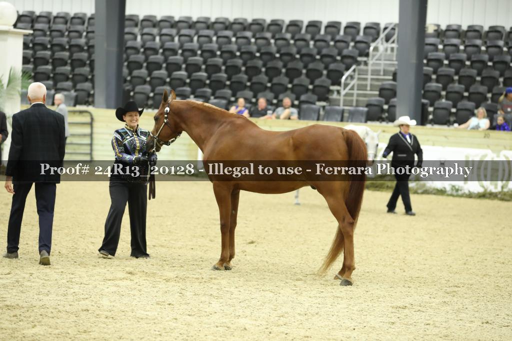 Proof 24R13_20128