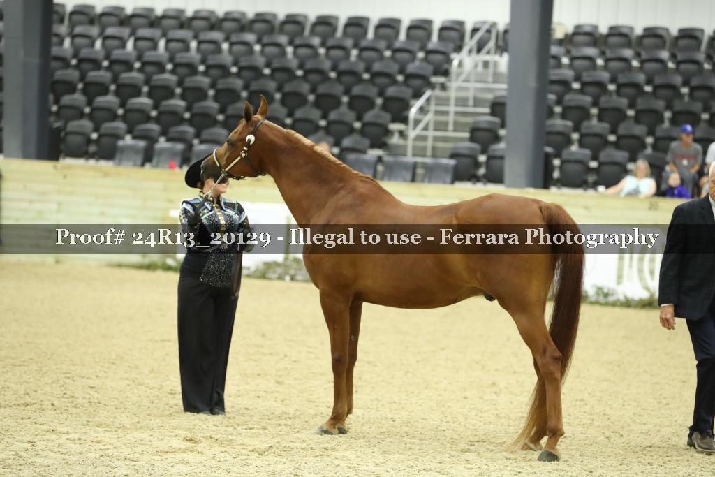Proof 24R13_20129