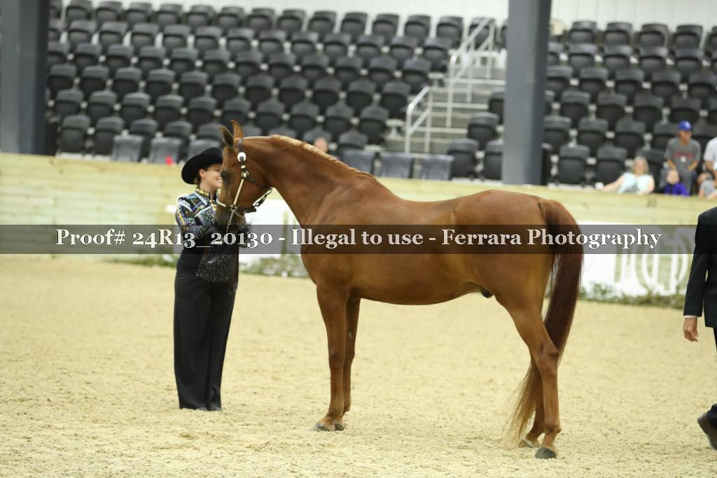 Proof 24R13_20130