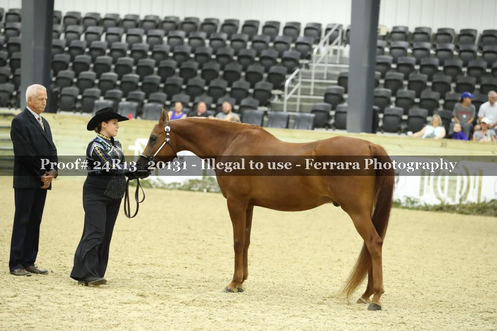 Proof 24R13_20131