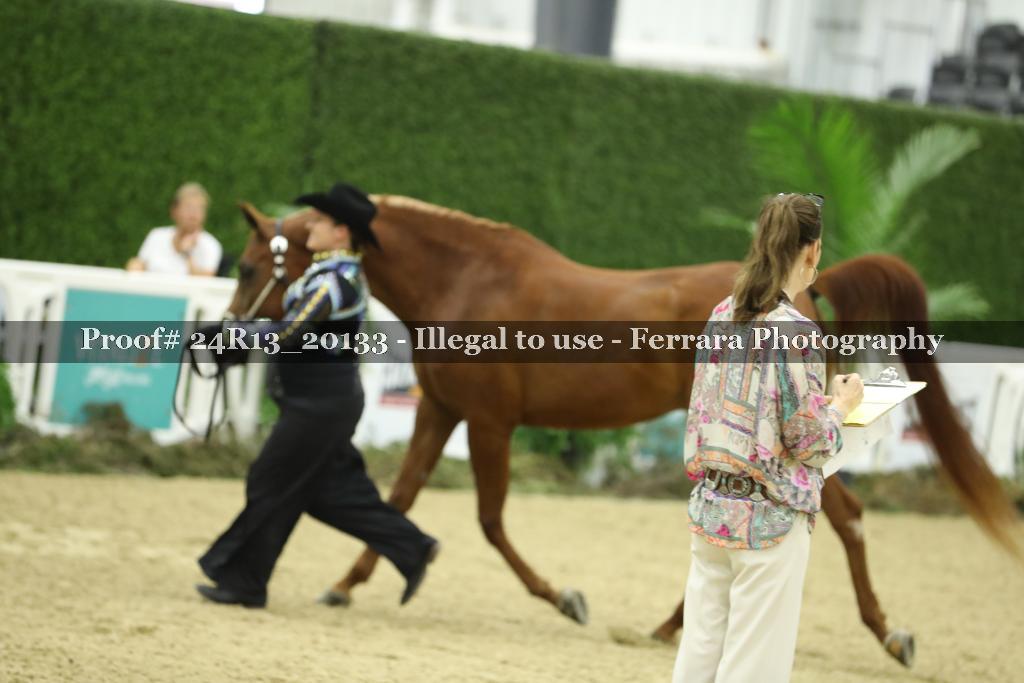 Proof 24R13_20133
