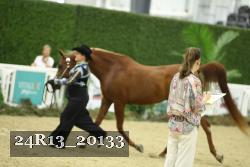 24R13_20133 proof