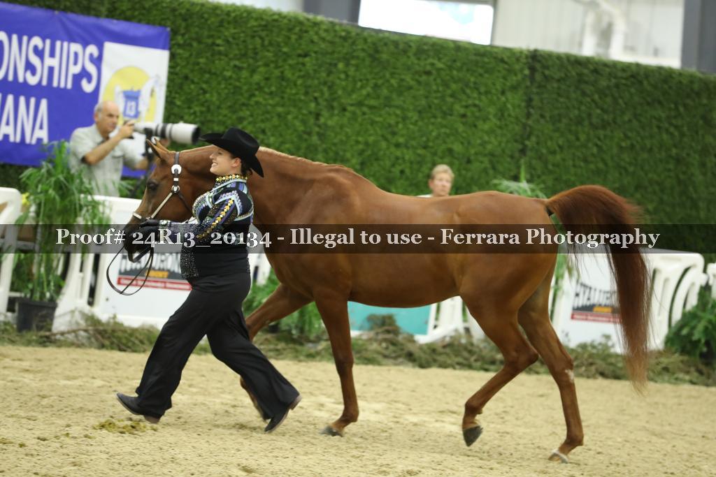 Proof 24R13_20134