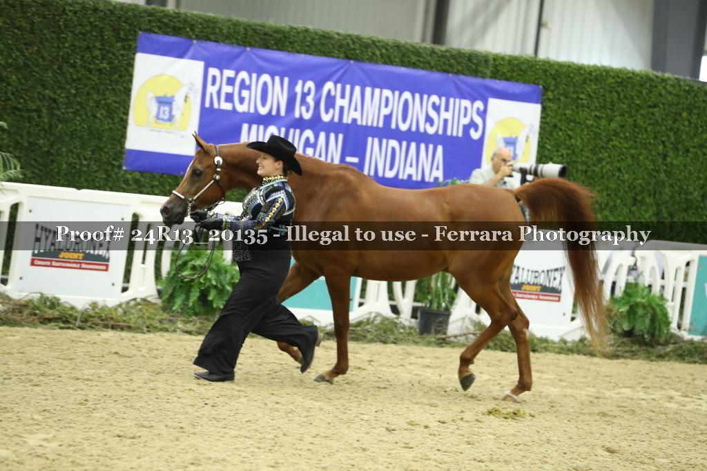 Proof 24R13_20135